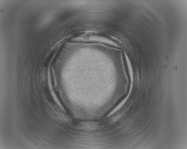 X0000080720367200701051040