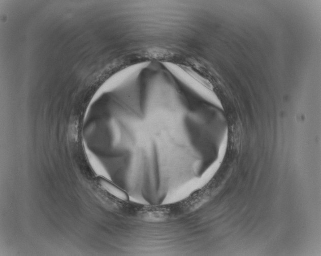 X0000080720368200701051040