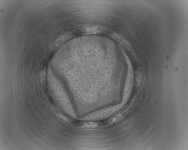 X0000080720369200701051040