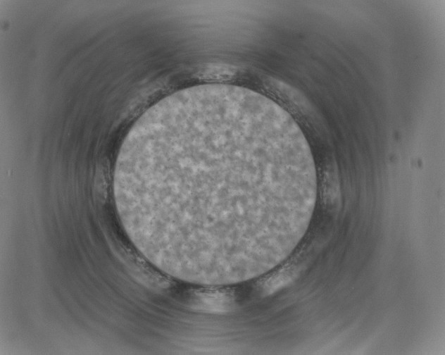 X0000080720370200701051040