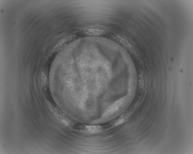 X0000080720371200701051040