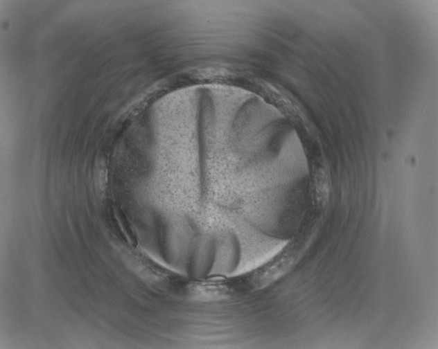 X0000080720372200701051040