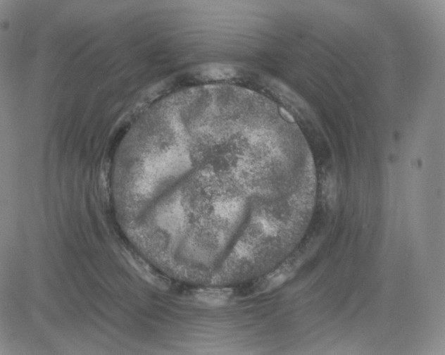 X0000080720373200701051040