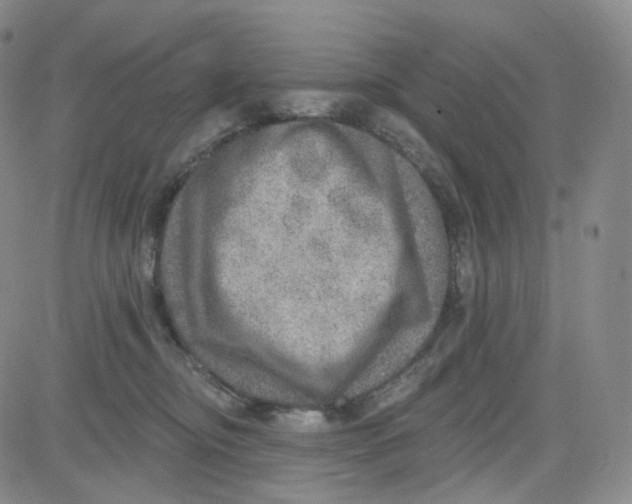 X0000080720374200701051040