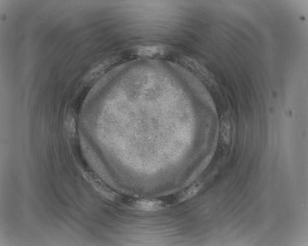 X0000080720375200701051040