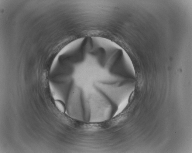 X0000080720378200701051040