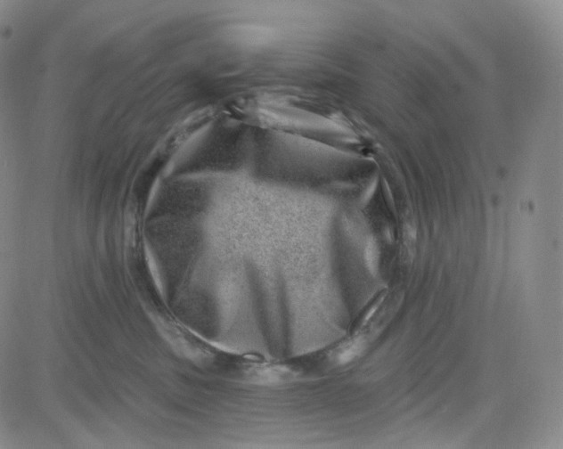 X0000080720379200701051040