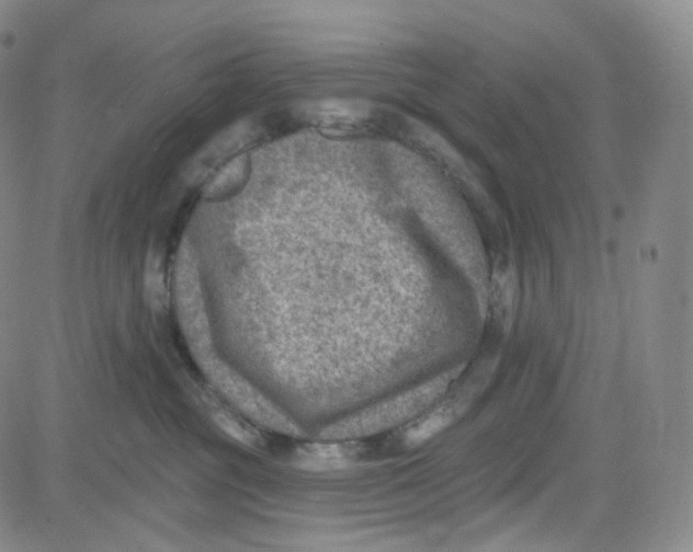 X0000080720381200701051040