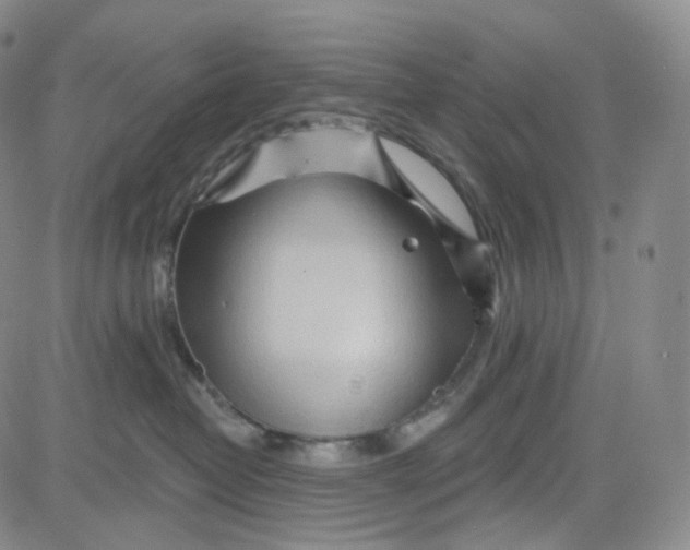 X0000080720382200701051040