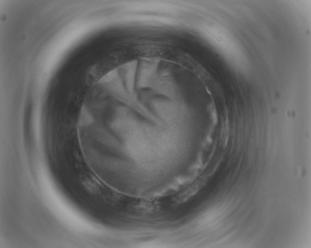 X0000080720383200701051040