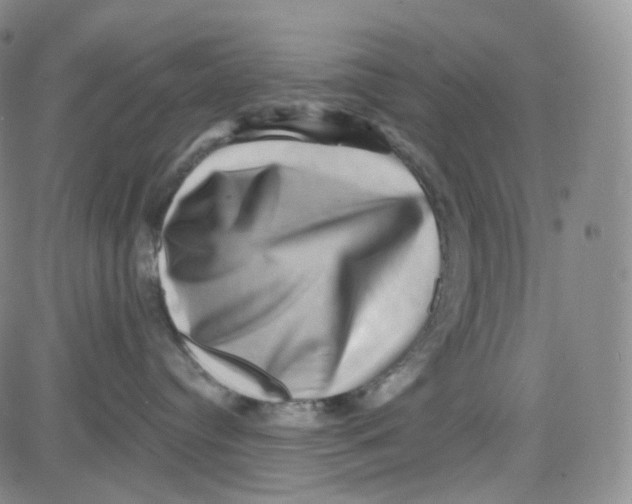 X0000080720384200701051040