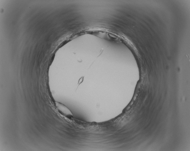 X0000080720385200701051039