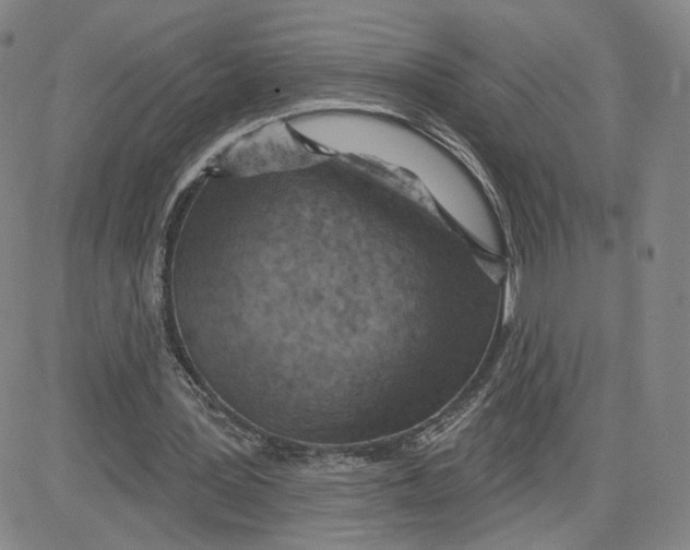 X0000080720387200701051039