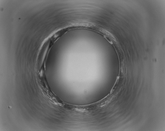 X0000080720388200701051039