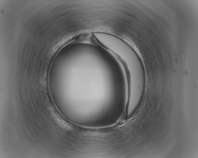 X0000080720389200701051039