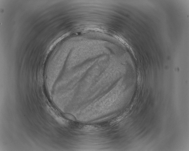 X0000080720390200701051039