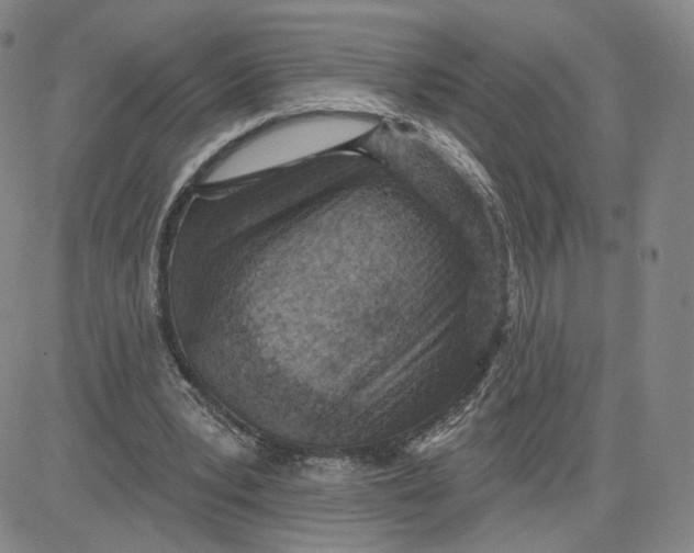 X0000080720391200701051039