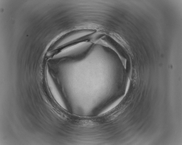 X0000080720392200701051039