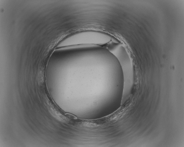 X0000080720393200701051039