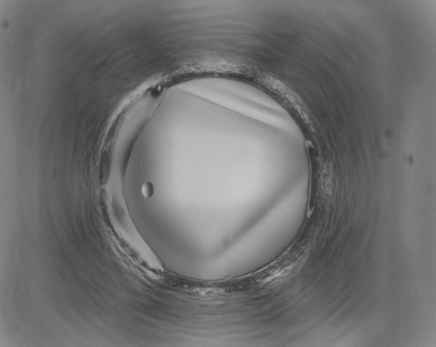 X0000080720395200701051039