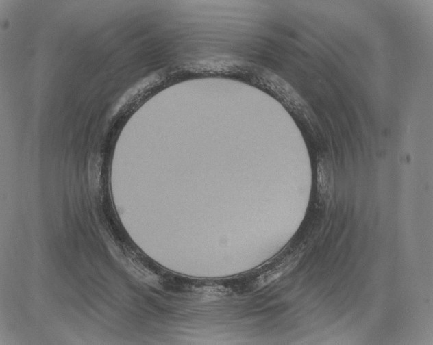 X0000080720396200701051039