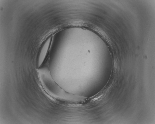 X0000080720397200701051039