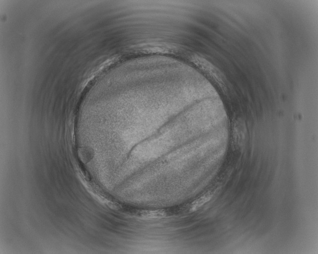 X0000080720398200701051039