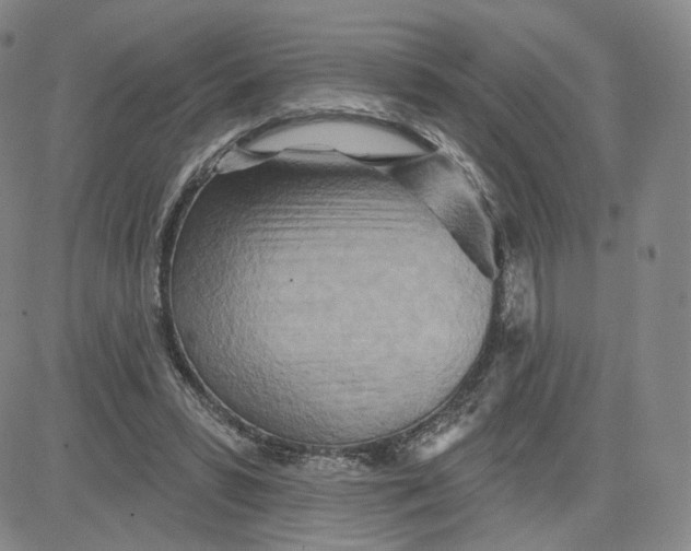 X0000080720399200701051039