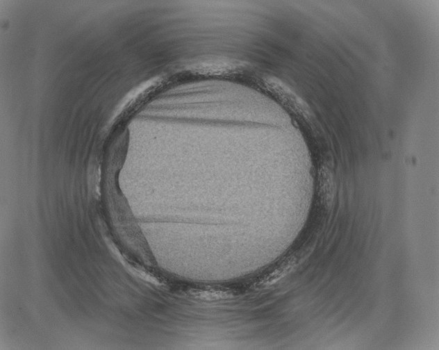 X0000080720400200701051039