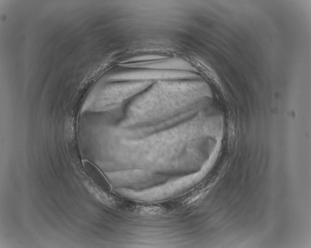 X0000080720401200701051039