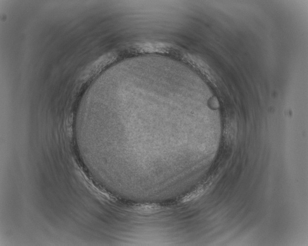 X0000080720402200701051039