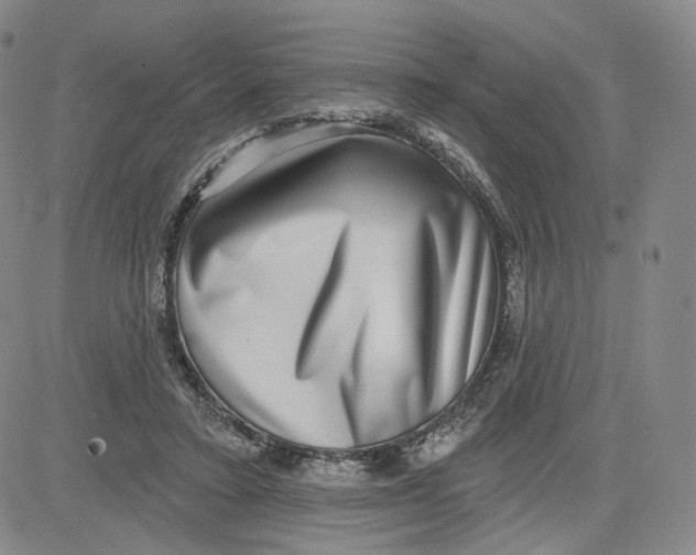 X0000080720403200701051039