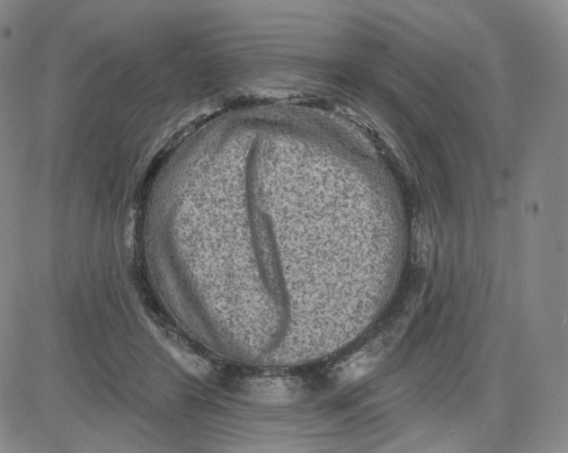 X0000080720404200701051039