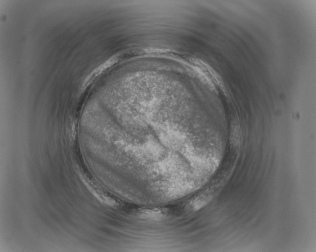 X0000080720405200701051039