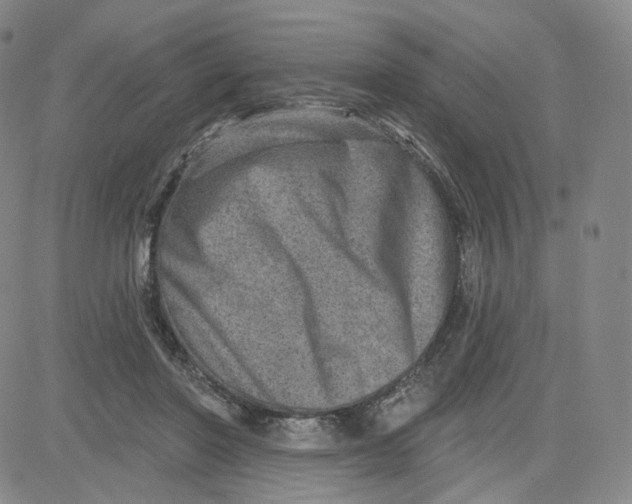 X0000080720406200701051039