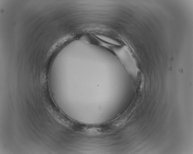 X0000080720407200701051039