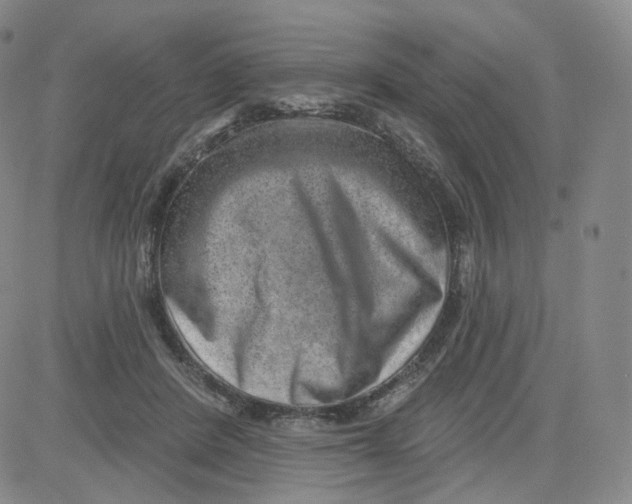 X0000080720408200701051039