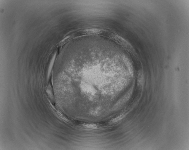 X0000080720409200701051039