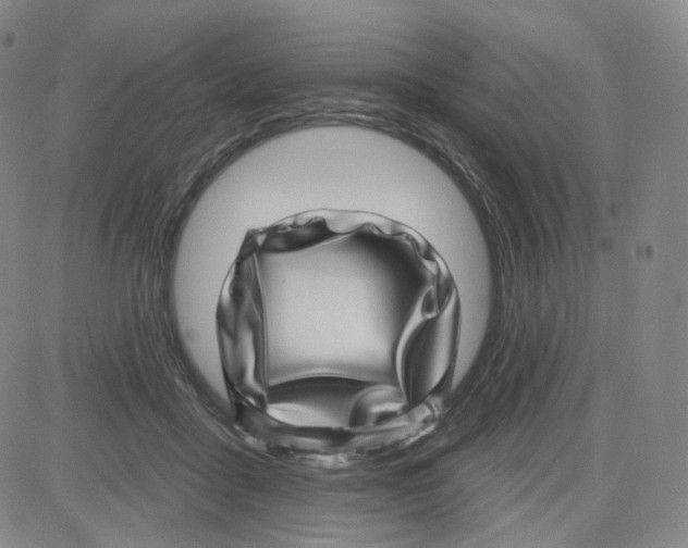 X0000080720411200701051039