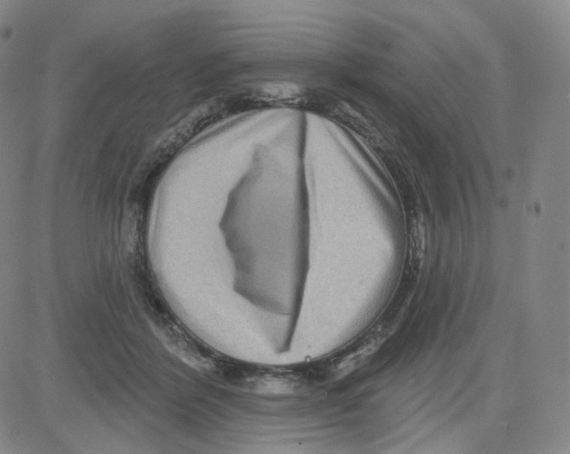 X0000080720412200701051039