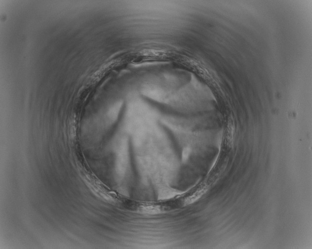 X0000080720413200701051039