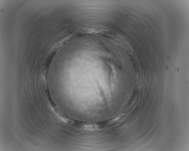 X0000080720415200701051039