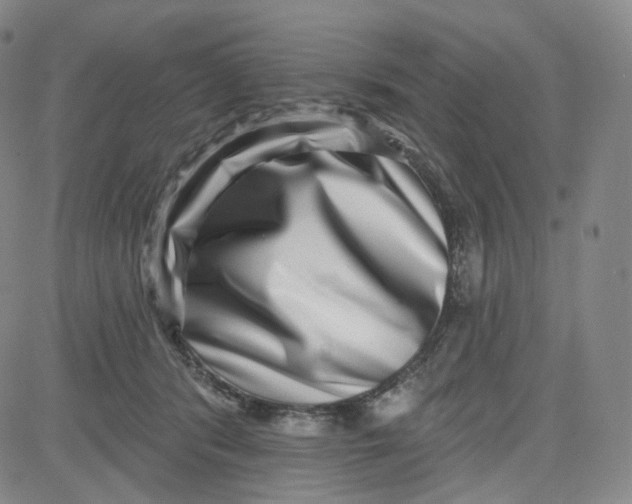 X0000080720416200701051039