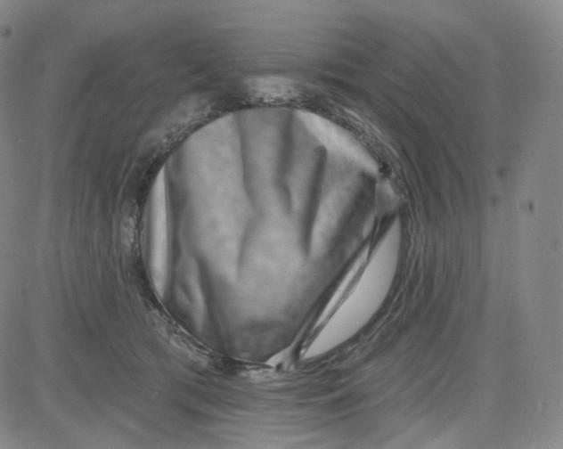 X0000080720417200701051039