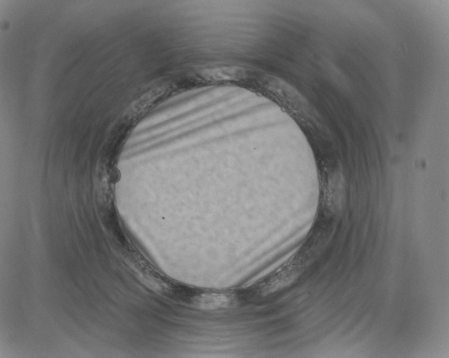 X0000080720418200701051039