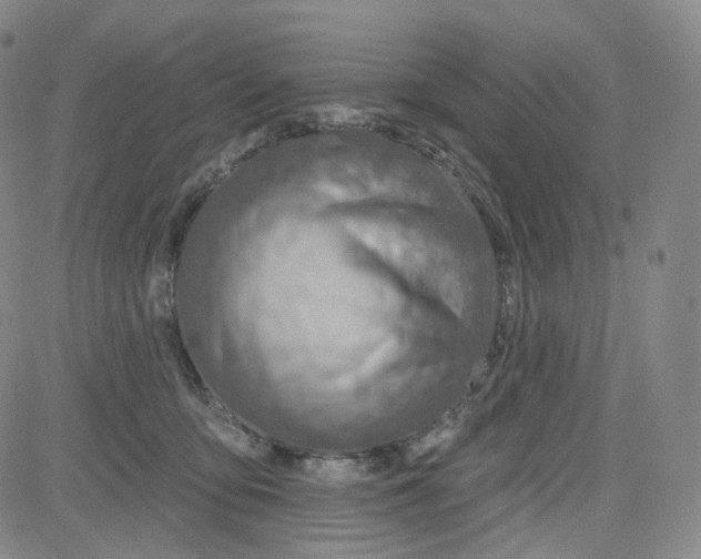 X0000080720419200701051039