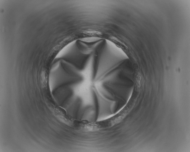 X0000080720420200701051039