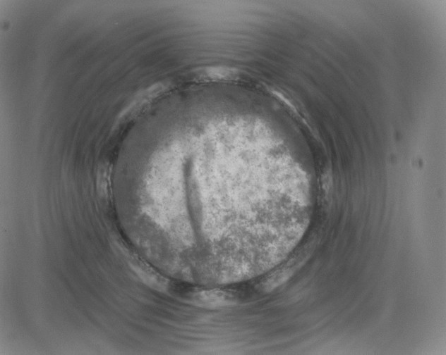 X0000080720423200701051039