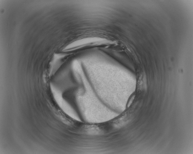 X0000080720424200701051039