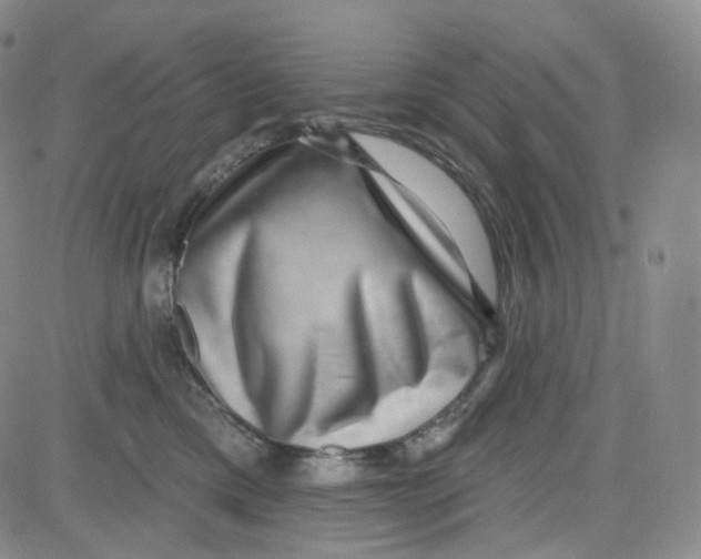 X0000080720425200701051039